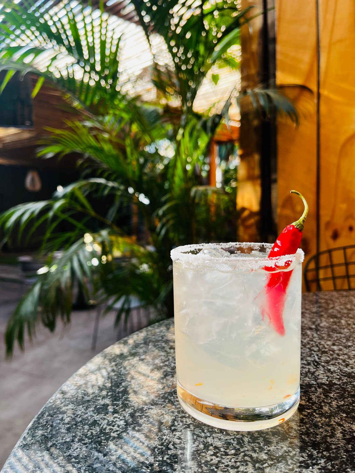 QUEENS-CHAMPAGNE-GARDEN-RESTAURANT-IN-KIMBERLEY 2 QUEENS-CHAMPAGNE-GARDEN-RESTAURANT-IN-KIMBERLEY 2